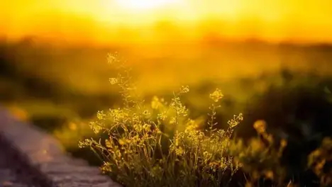 Faker再战三冠王:电竞传奇的历史挑战与展望